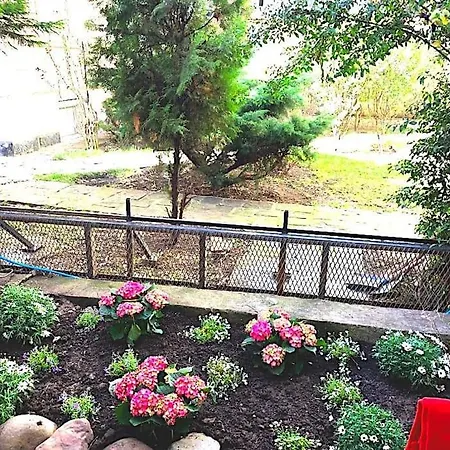 Apartamento King Lux - Top Location - Massage - Garden! *